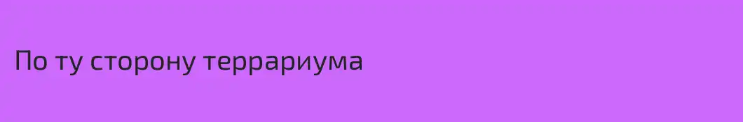 По ту сторону террариума